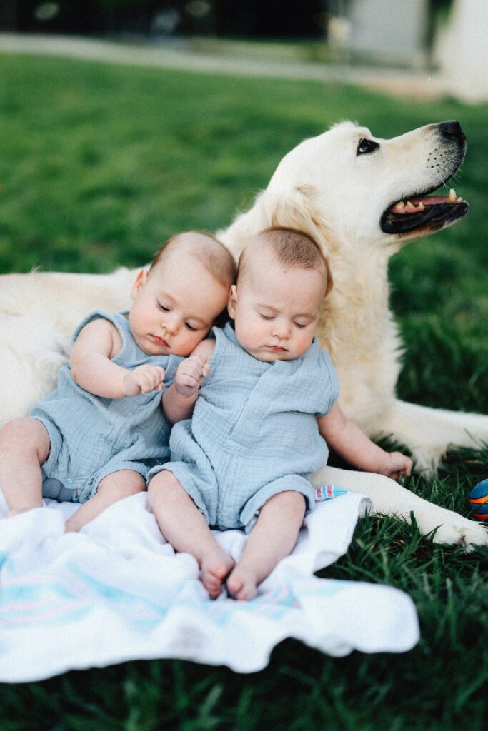 best dogs for kids